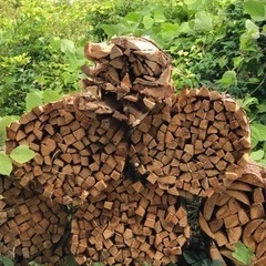 キャンプの薪にいかがですか？　BBQ の画像
