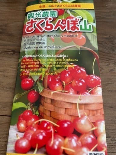 観光農園さくらんぼ山　さくらんぼ狩り入園引換券