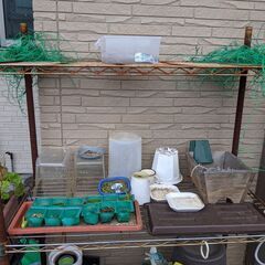 【中古】いろいろな植物 / 園芸 の設備 - 無料!の画像