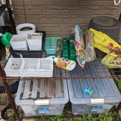 【中古】いろいろな植物 / 園芸 の設備 - 無料!の画像