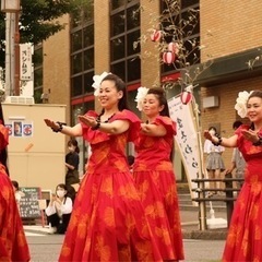 ✨フラダンスはじめませんか？✨の画像