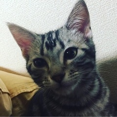 精神疾患、生活保護の方集まれ！ - 友達