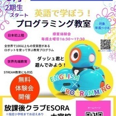英語で学ぼうプログラミング！【Wonder Code 東大成校】の画像