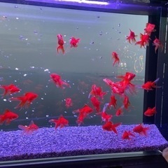 ママ友になってください