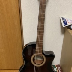 Ibanez Classic ピックアップ有り