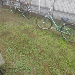 応募終了致しましたm(_ _)m
