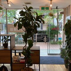 新橋の女性事務員募集‼（正社員）22万円/月～　未経験でもOKです！　週休２日（土日祝日休）の画像