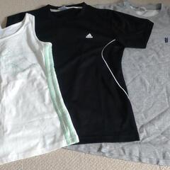 トレーニング着　　3着