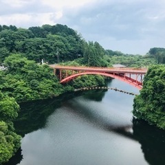 国際交流しませんか(^^)