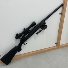 取引先決定　東京マルイ　VSR10？