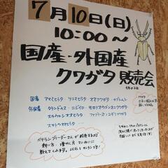 恒例、国産カブトムシクワガタ、外国産クワガタ販売会/フリマ