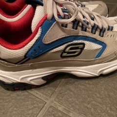 スケッチャーズスニーカーの画像