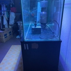 自作90cmオーバーフローセット　引き取り限定の画像