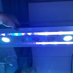 自作90cmオーバーフローセット　引き取り限定の画像