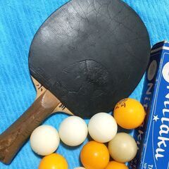 卓球ラケット（タマスJTTAA）とボール9個と卓球本付き（出品中...