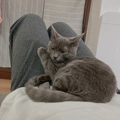 1歳のメスちゃんです！！
