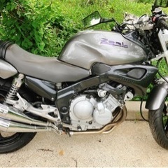 YAMAHA ZeaL ジール　ジャンク