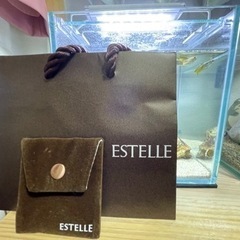 18Kピアス（ESTELLE）の画像
