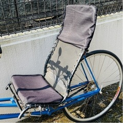 レア リカンベント ライトニング P-38 自転車 入手困難 フラッグモデルの画像