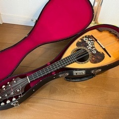 マンドリン
