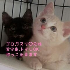 微笑ましい♡ほっこり兄妹