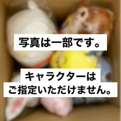 【終了】沢山のお問い合わせいただきありがとうございました。