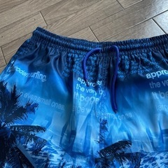 海パンの画像