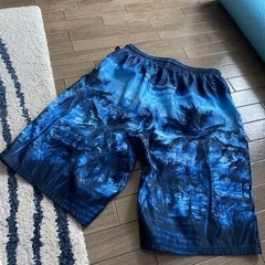 海パンの画像