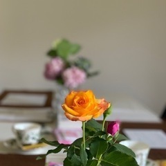 筆ペンひとつで始めれる己書(己書)の画像