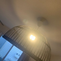 【6月29日午後に受け渡し希望！】IKEA 照明　黒　籐の画像