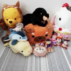 決まりました☆ぬいぐるみバッジ等　12こセット