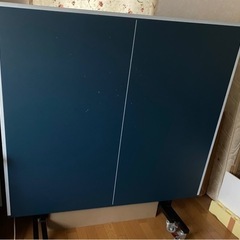 卓球台　IGNIO 国際規格サイズ