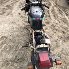 ヤマハ TZR50の画像