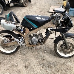 ヤマハ TZR50の画像