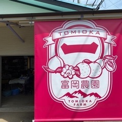 南高梅　傷無し　1キロ　500円　20キロ限定の画像