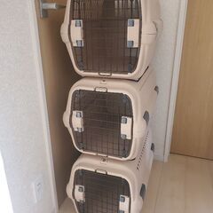 キャリーケース猫用(大型)3個セット