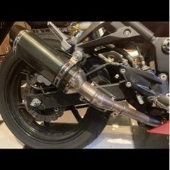 Kawasaki カワサキ  ninja250r ニンジャ250r 低走行 8900kmの画像