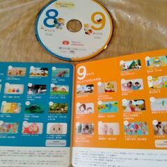 【DVD2ヵ月分付】しまじろう いろっちのマトリョーシカ（こともちゃれんじぷち）の画像