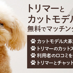 登録して頂けるトリマーさん大募集