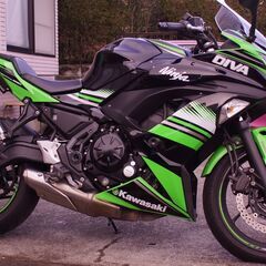 【2017年式】Ninja650 KRT Edition 【全国配送対応】の画像