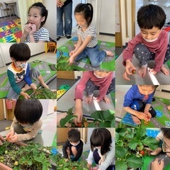 児童発達支援のアルバイトの画像