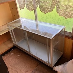 ガラスショーケース