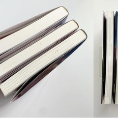 ディズニー 文庫本 3冊セットの画像