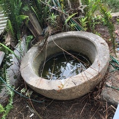 石鉢　