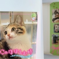 ちゃおノベルズ 3冊セットの画像