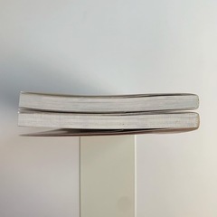 ピチレモンノベルズ 2冊セットの画像