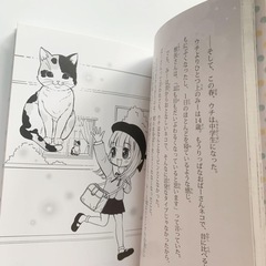 ピチレモンノベルズ 2冊セットの画像