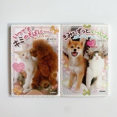 ピチレモンノベルズ 2冊セット