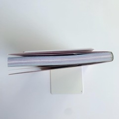 犬犬学園 キミがきた日。の画像