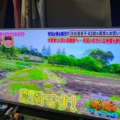 テレビ引越しのため売ります。43型テレビ